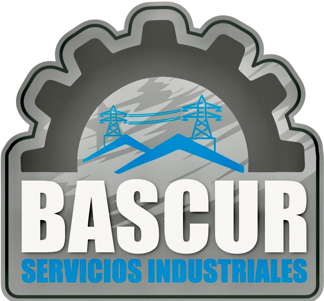 Servicios Victor Bascur